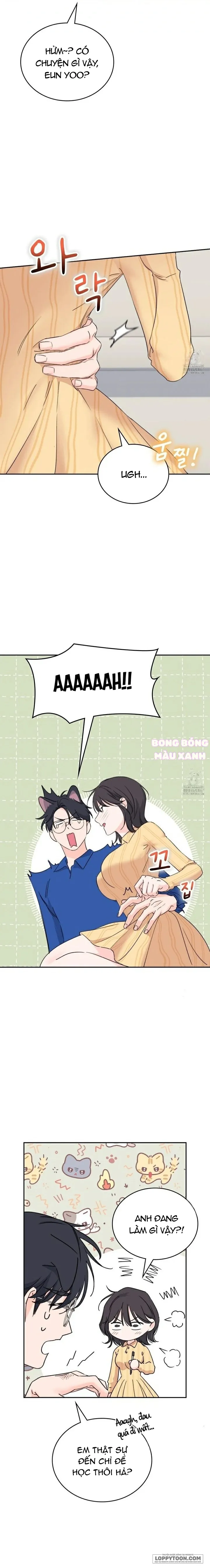 Chap 16 - Image 11