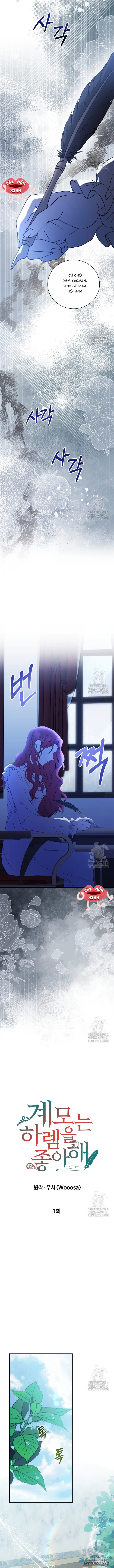 Chap 1 - Image 8