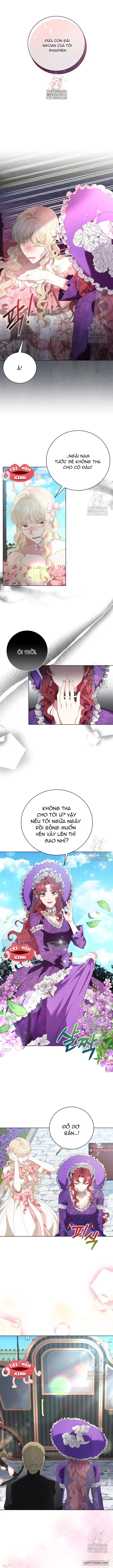 Chap 11 - Image 1
