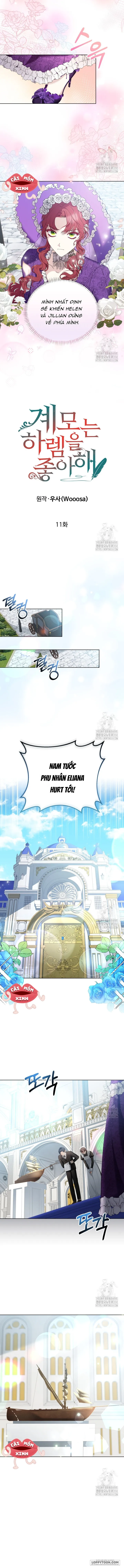 Chap 11 - Image 2