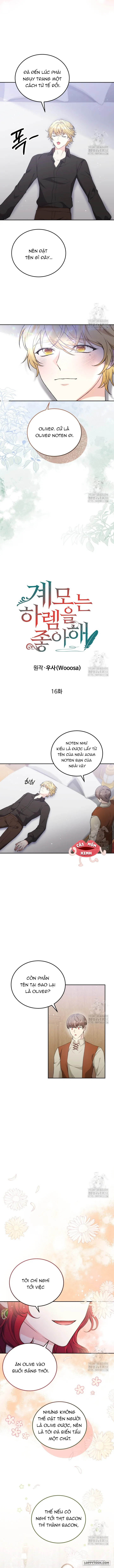 Chap 16 - Image 2