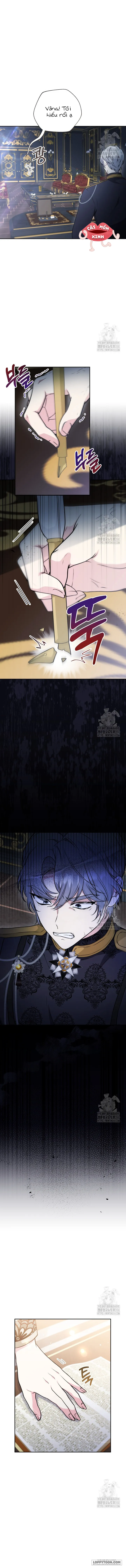 Chap 17 - Image 3