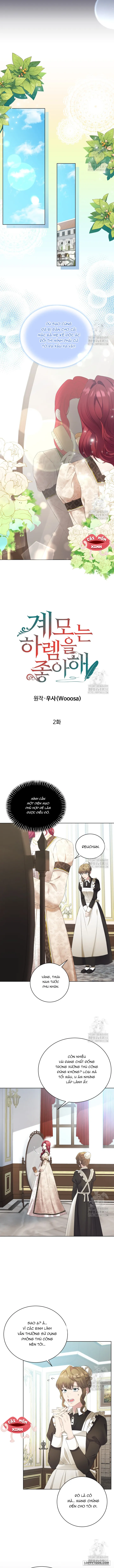 Chap 2 - Image 3