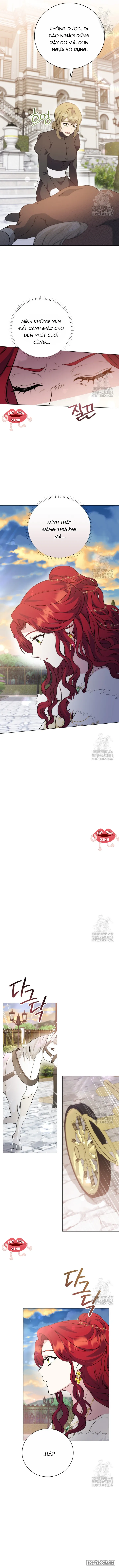 Chap 23 - Image 13