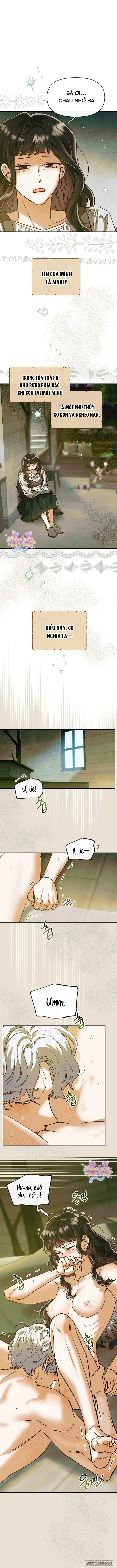 Chap 1 - Image 3