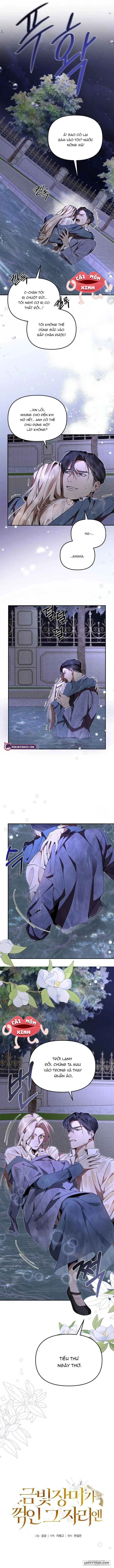 Chap 3 - Image 8