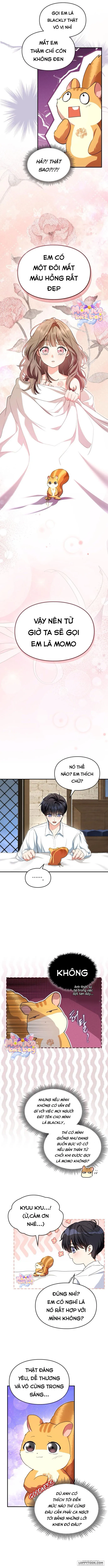 Chap 8 - Image 8